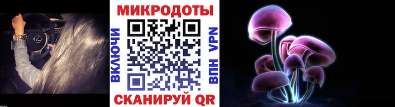 сайты даркнета какой сайт  Мичуринск  Галлюциногенные грибы прущие грибы 