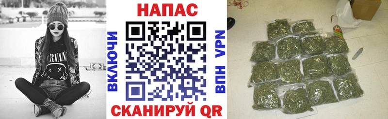 кракен вход что такое наркотик Мичуринск Бошки марихуана сатива